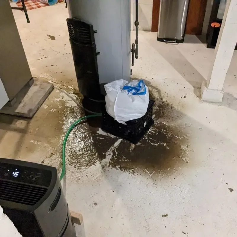 Sewage Backup Cleanup Service in Chillicothe, MO